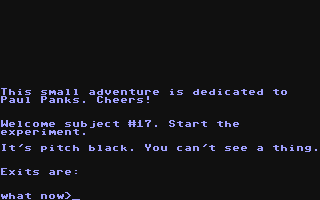 Screenshot for 4kventure