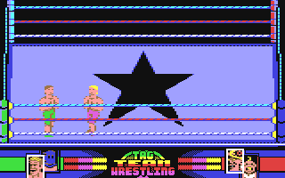 Screenshot for American Tag-Team Wrestling