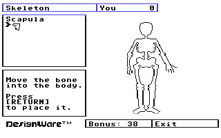 Screenshot for Body Transparent, The