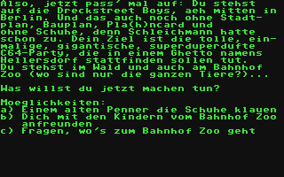 Screenshot for Computers Hell '99 - Das Adventure!