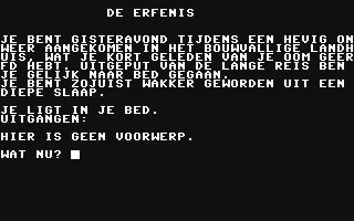 Screenshot for Erfenis, De