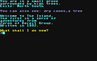 Screenshot for Island, The