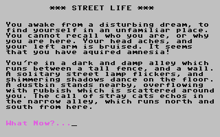 Screenshot for Street Life